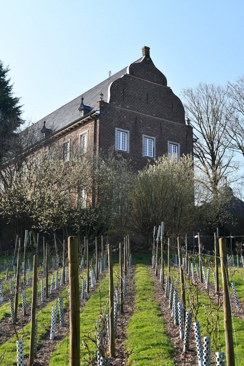 2022 03 23 Weinberg 17