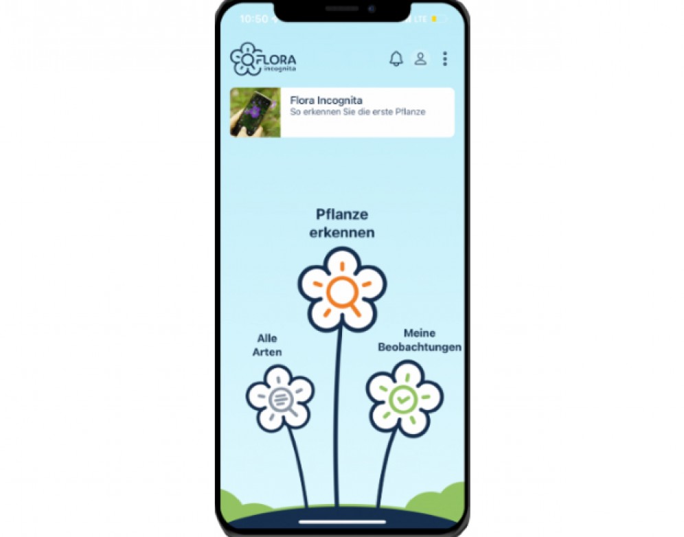 Flora Incognita App neues Design web