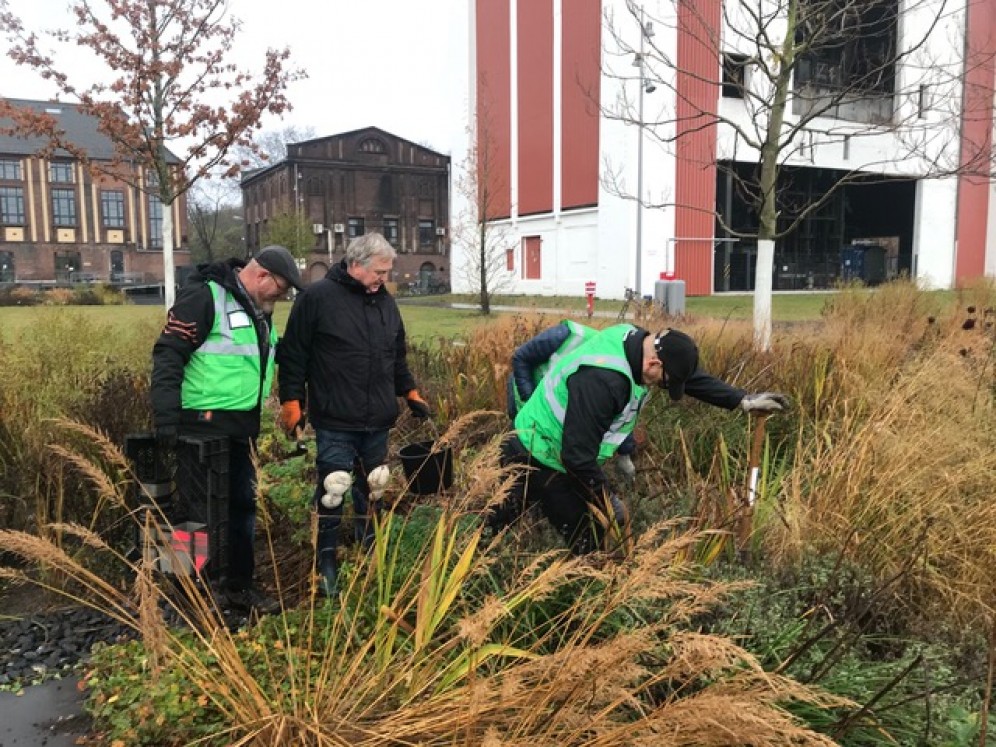 Okoschotter Promenade und Quartiersplatz fur mehr Wildnis in der Stadt